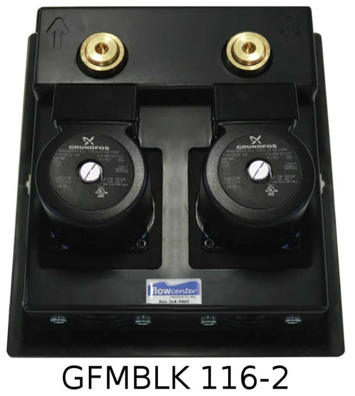 2 PUMP FPT FLOWCENTER GRUNDFOS 116 - Pumps