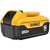 DEWALT 20V MAX Premium Lithium-Ion 5.0Ah - Power Tools