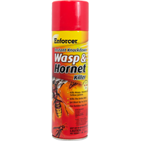 WASP SPRAY - Paints and Chemicals